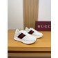 [Gucci] 구찌 프리미엄 나파 & 웹 스트라이프 콤비 스니커즈 신발