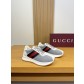 [Gucci] 구찌 프리미엄 스웨이드 & 메쉬 웹 스니커즈 신발