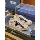 [Dior] 디올 후퍼(Hooper) 로우탑 캔버스 스니커즈 신발