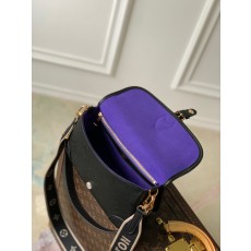 루이비통  다이앤  M46386