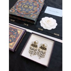 디올 귀걸이